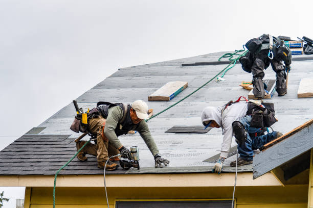 Professional Gutter Installation technician working in Olga, FL